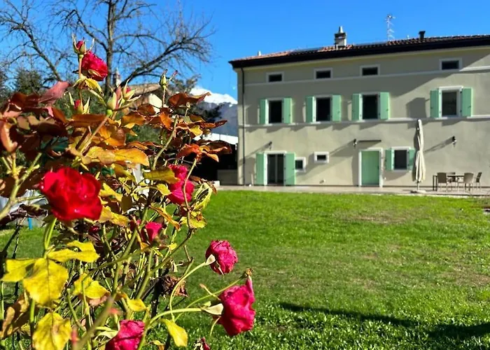La Casa Nella Vigna