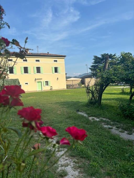 La Casa Nella Vigna *
