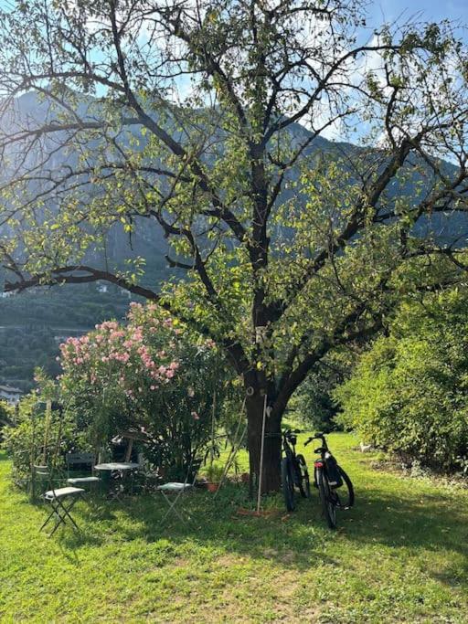 La Casa Nella Vigna Riva del Garda
