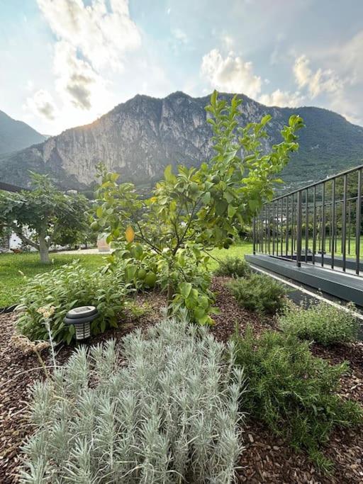 La Casa Nella Vigna * Riva del Garda