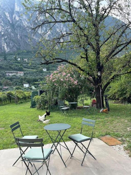 La Casa Nella Vigna *