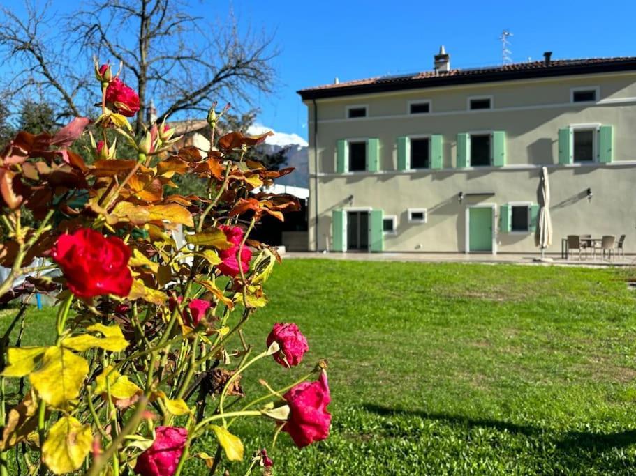 La Casa Nella Vigna Riva del Garda