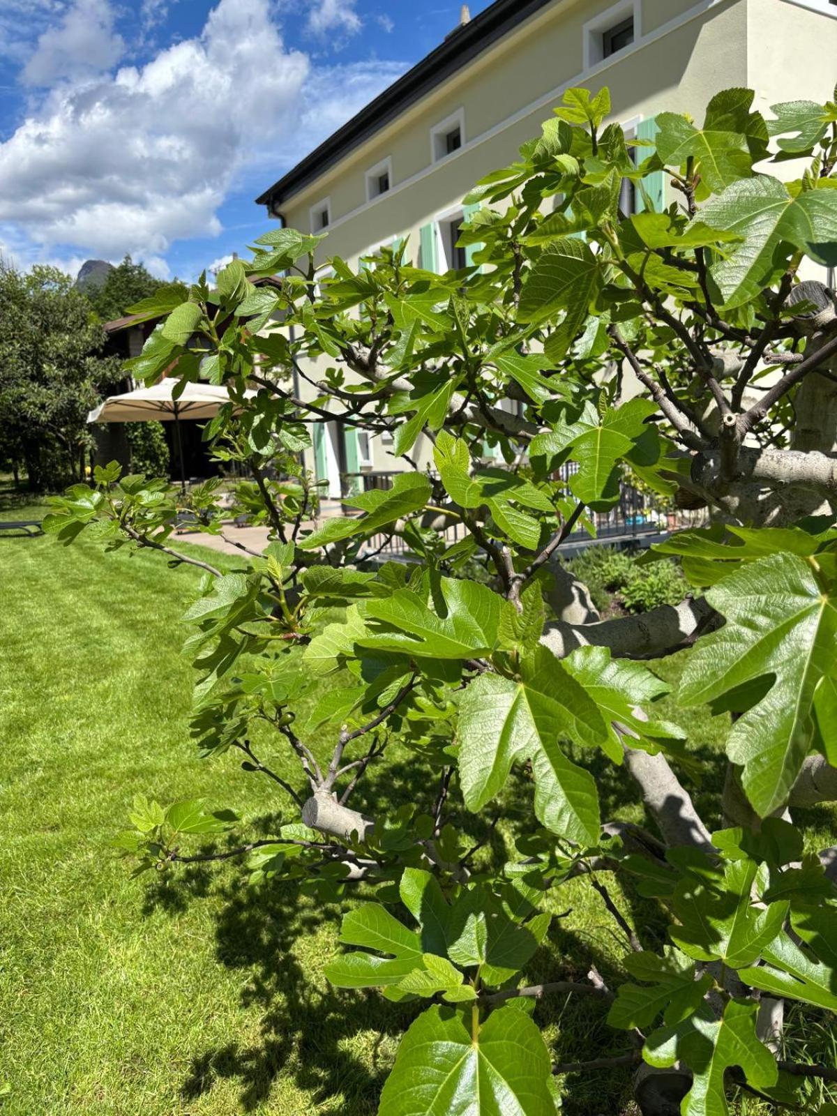 La Casa Nella Vigna Apartment *