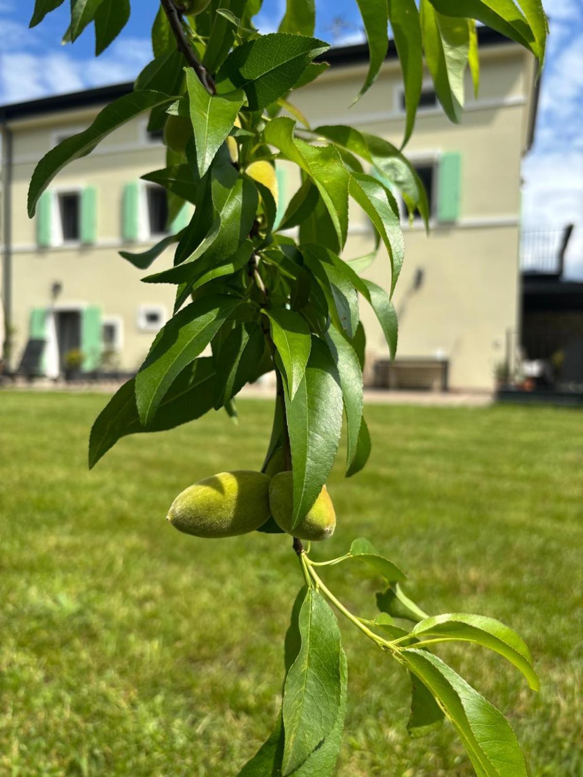 La Casa Nella Vigna Apartment